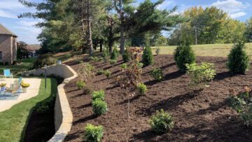 Landscaping Project (Oct. 12th)